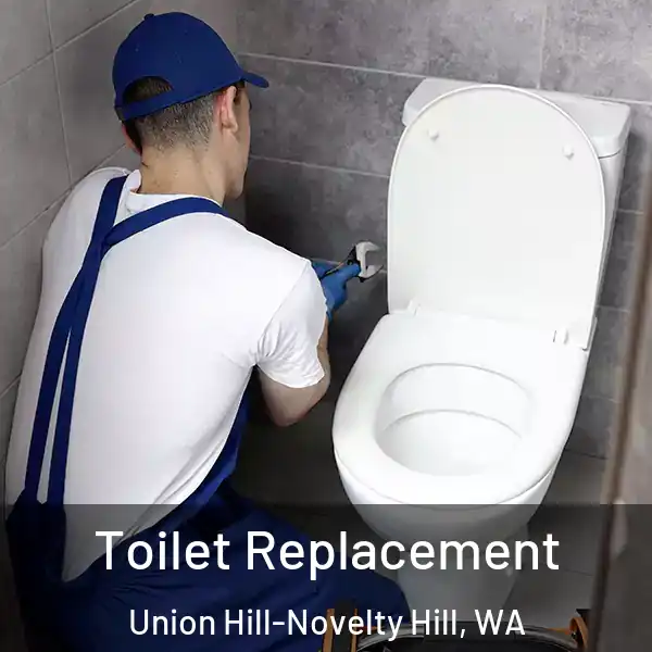  Toilet Replacement Union Hill-Novelty Hill, WA