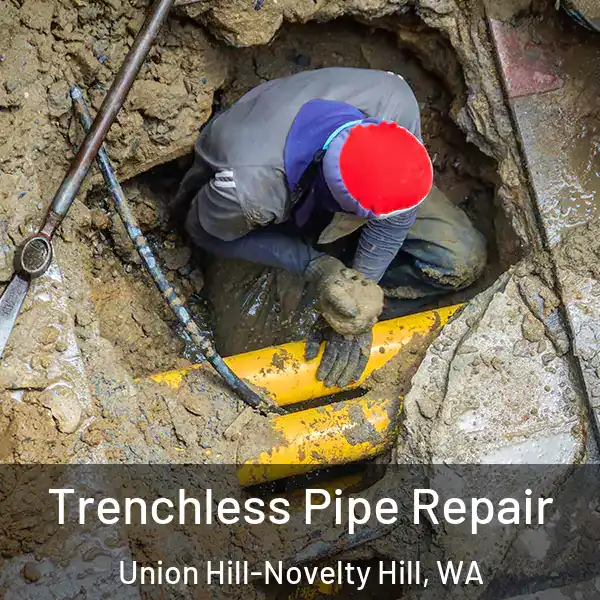  Trenchless Pipe Repair Union Hill-Novelty Hill, WA