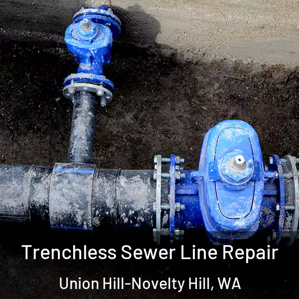  Trenchless Sewer Line Repair Union Hill-Novelty Hill, WA