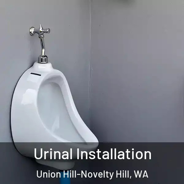  Urinal Installation Union Hill-Novelty Hill, WA