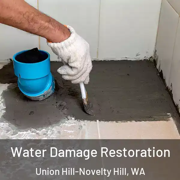  Water Damage Restoration Union Hill-Novelty Hill, WA