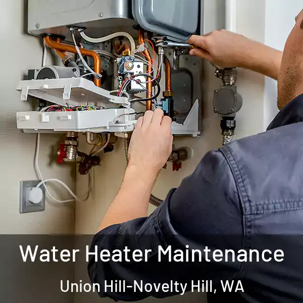  Water Heater Maintenance Union Hill-Novelty Hill, WA