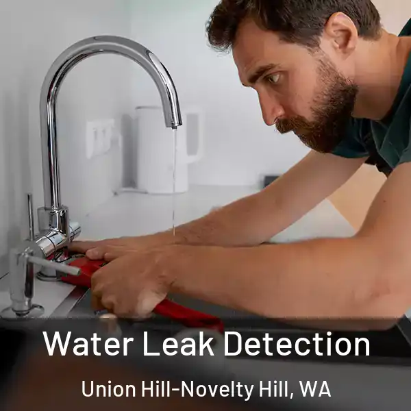  Water Leak Detection Union Hill-Novelty Hill, WA