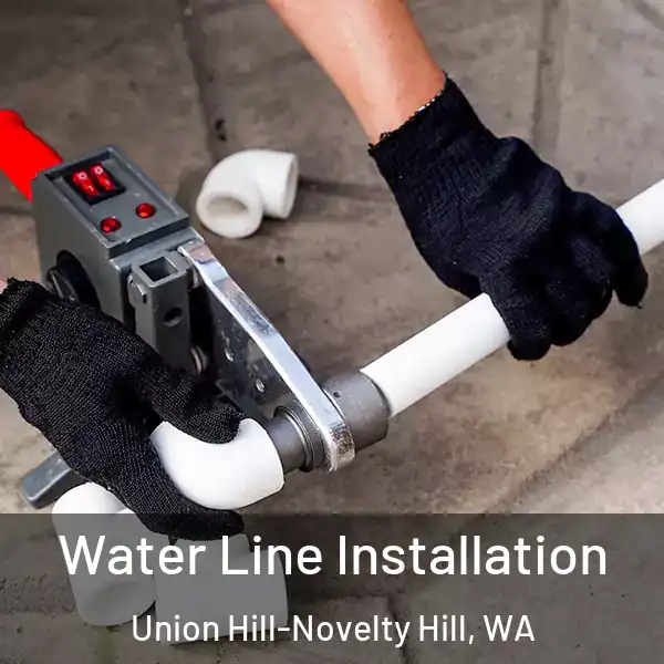  Water Line Installation Union Hill-Novelty Hill, WA