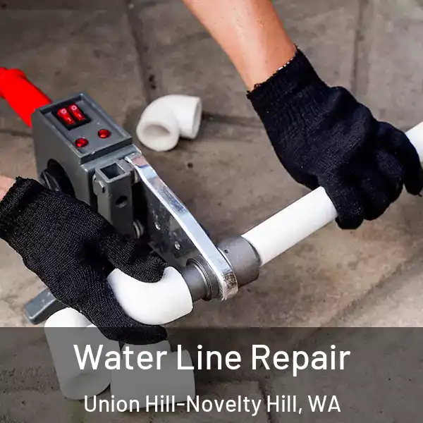  Water Line Repair Union Hill-Novelty Hill, WA