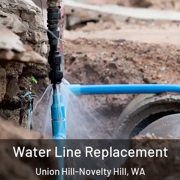  Water Line Replacement Union Hill-Novelty Hill, WA
