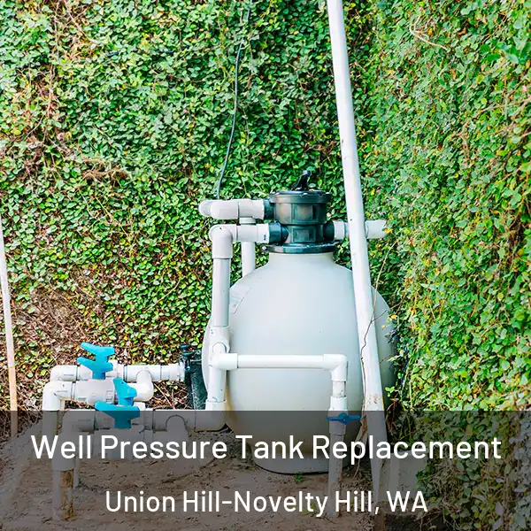  Well Pressure Tank Replacement Union Hill-Novelty Hill, WA