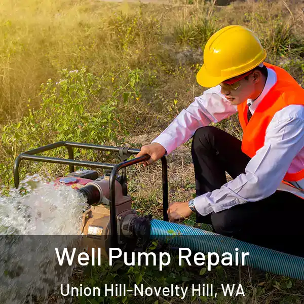 Well Pump Repair Union Hill-Novelty Hill, WA