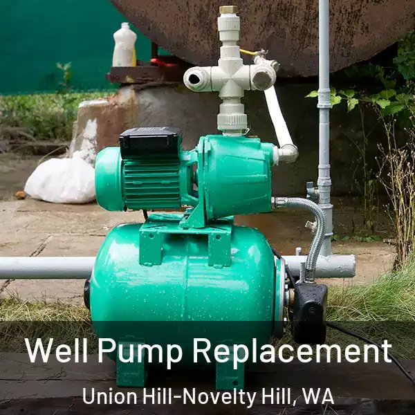  Well Pump Replacement Union Hill-Novelty Hill, WA